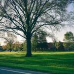 Pexels Photo 7752993 150x150