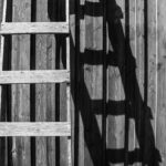 Pexels Photo 996127 150x150