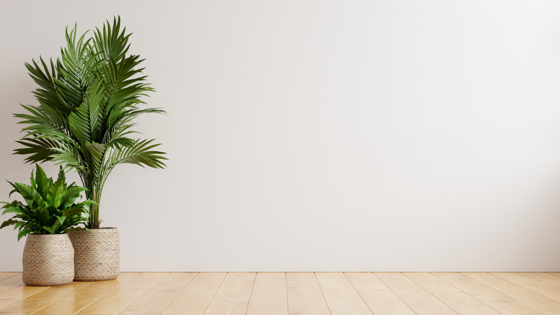 Green plants create a calm, uncluttered indoor space