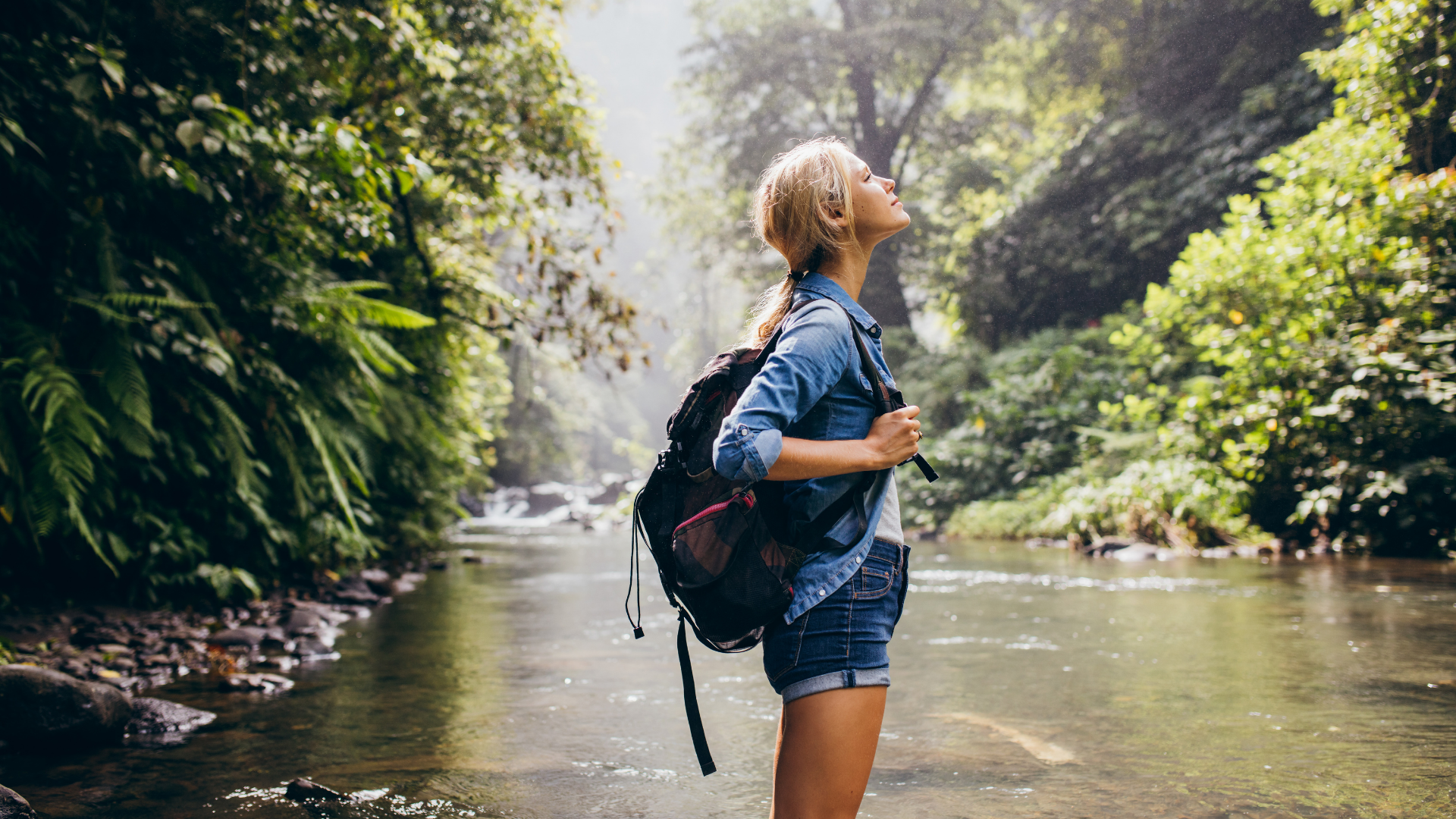 A hiker pauses to observe sunlight in a forest