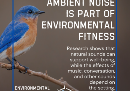 environmental (1)